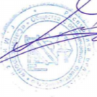 саник дат икзи